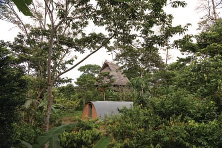 Witoca Lab